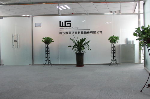 山東維固信息科技股份