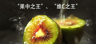 紅心獼猴桃合作社 現摘現發，開啟新鮮水果批發零售新體驗